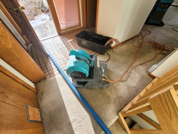 Best Sewage cleanup and water damage restoration  in Marietta, OK