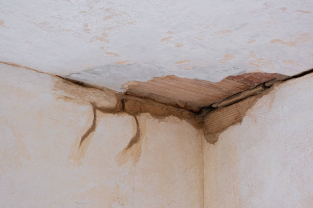 Best Water damage restoration insurance claims  in Marietta, OK
