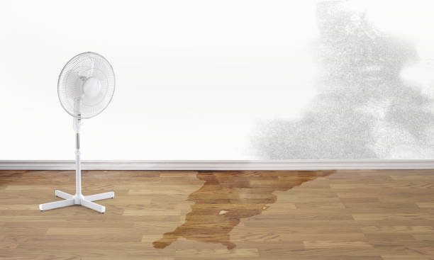 Best 24/7 water damage repair  in Marietta, OK