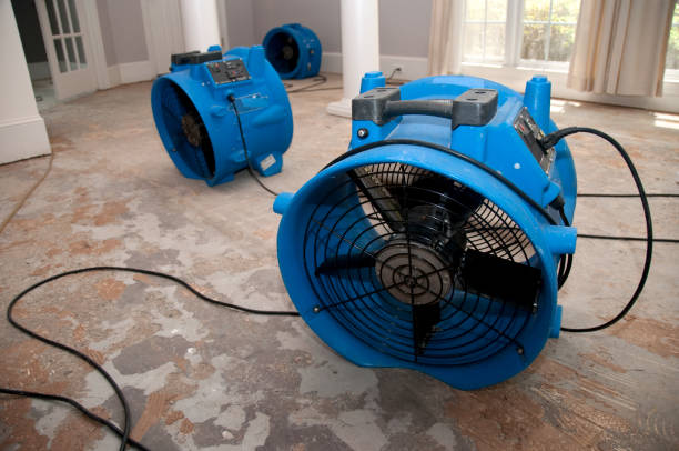 Best Emergency water damage restoration  in Marietta, OK