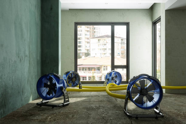 Best Mold removal after water damage  in Marietta, OK