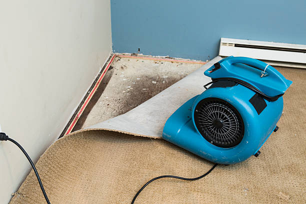 Best Water damage restoration near me  in Marietta, OK